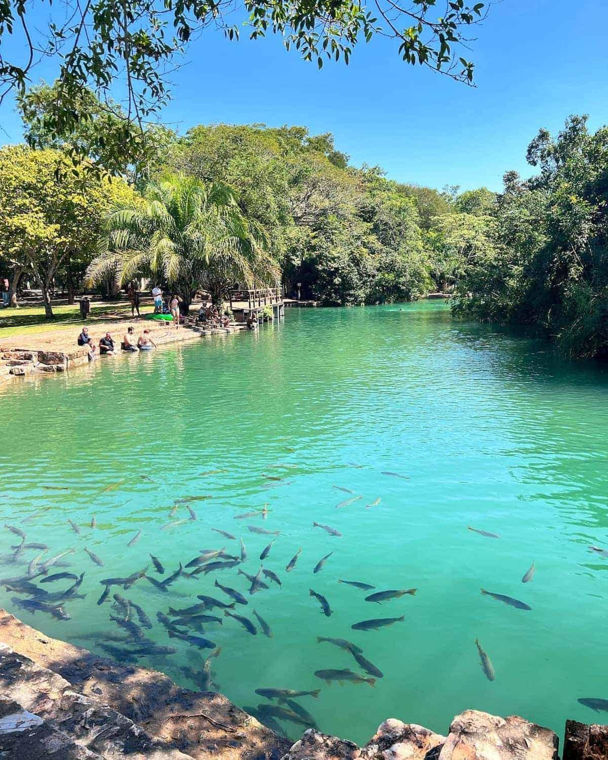 Barra Bonita Aparthotel Bonito (Mato Grosso do Sul)